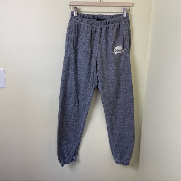 Roots Mont Tremblant Classic Jogger Sweatpants in Gray SIZE SMALL - Picture 2 of 11